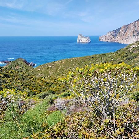 Villa Brezza Marina Nebida Екстериор снимка