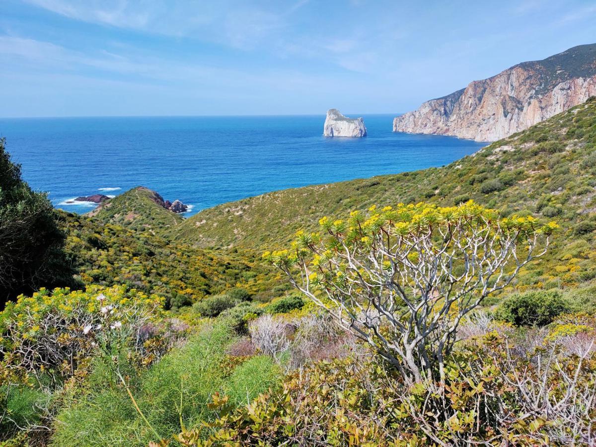 Villa Brezza Marina Nebida Екстериор снимка