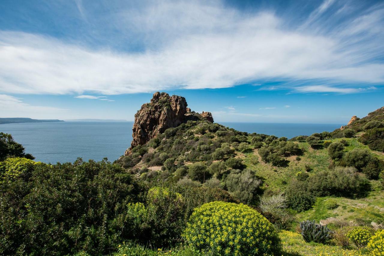 Villa Brezza Marina Nebida Екстериор снимка